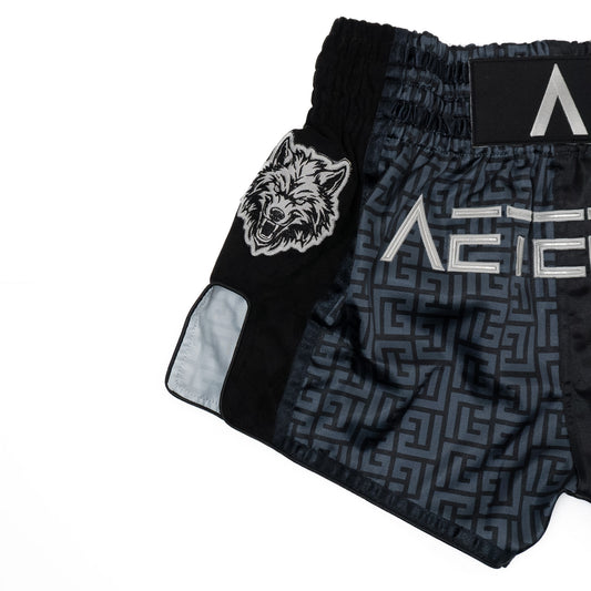 Aeterna Muay Thai shorts