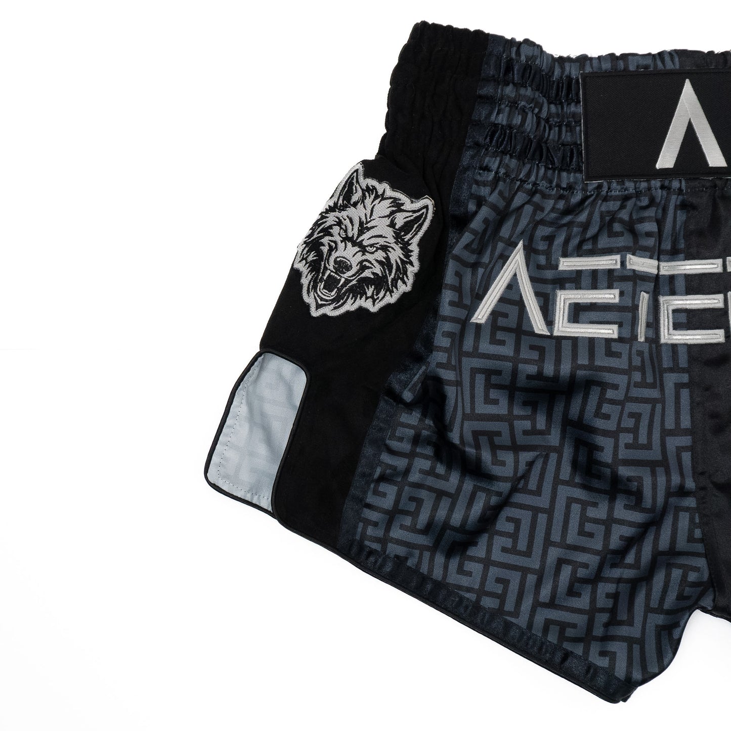 Aeterna Muay Thai shorts