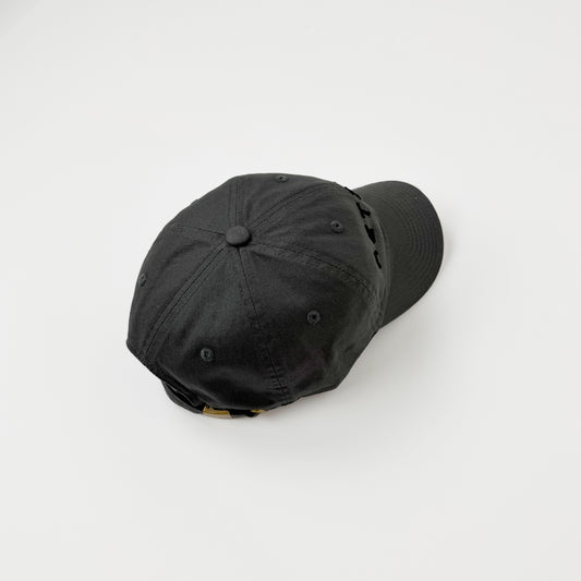 AETERNA-dad hat